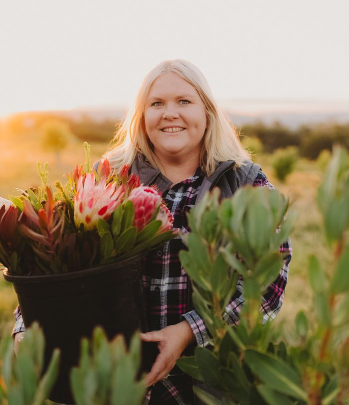 Nikki carrying a bucket of freshly cut proteas on the farm