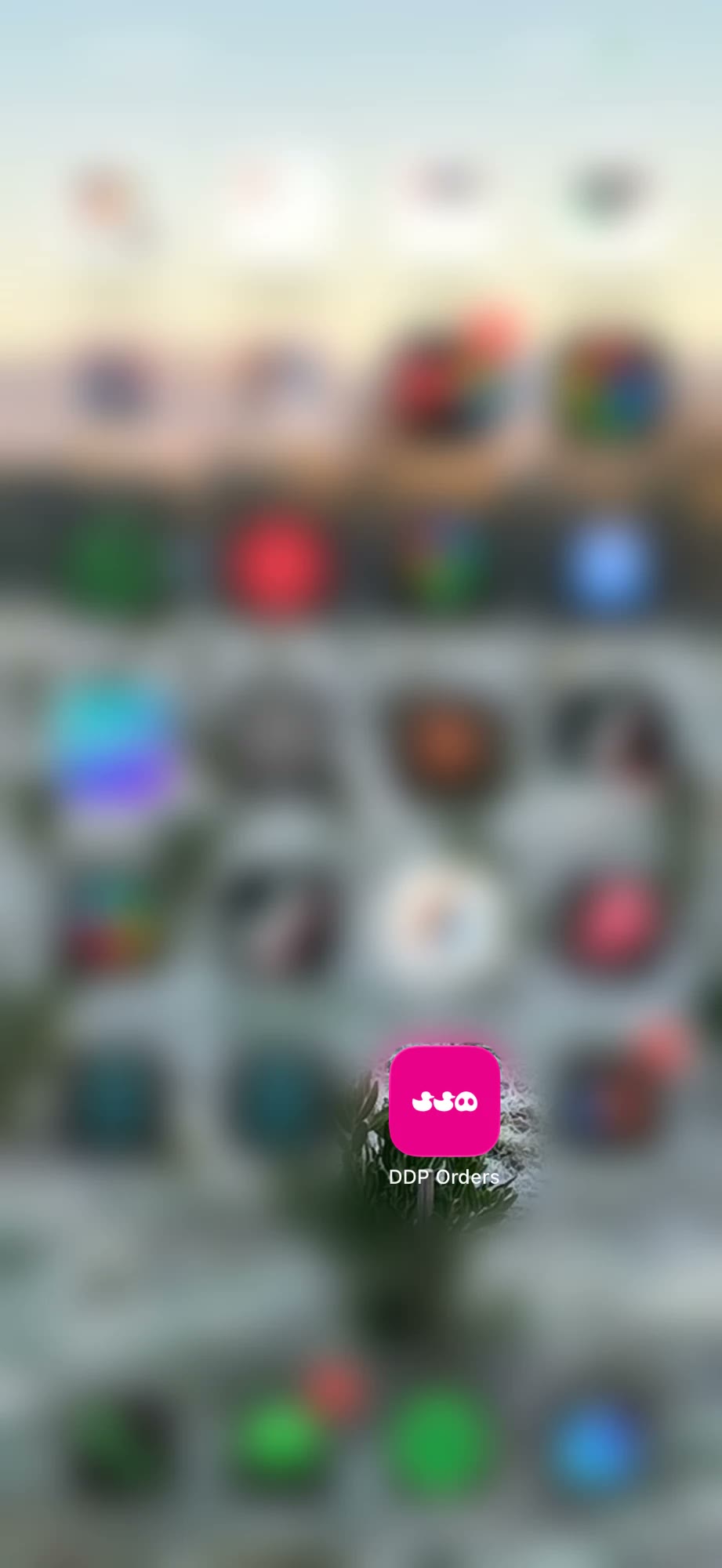 The DDP Orders app on my phone’s home screen